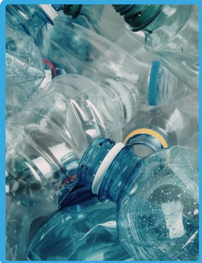 Ecofresh team collecting and sorting clean blue plastic bottles for recycling recovery